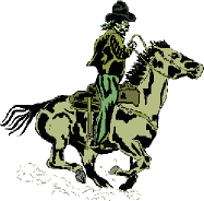 Gallop cowboy