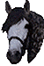 horse hed
