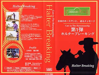 Halter Breaking Jo[