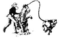 �J�[�t���[�v