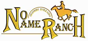 NNR logo gold
