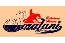 Soratani Reining Horses